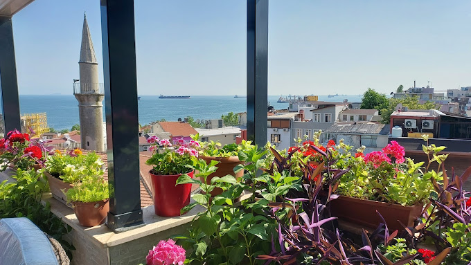 Rooftop terrace view of the sea and historic mosque minaret with colorful potted flowers